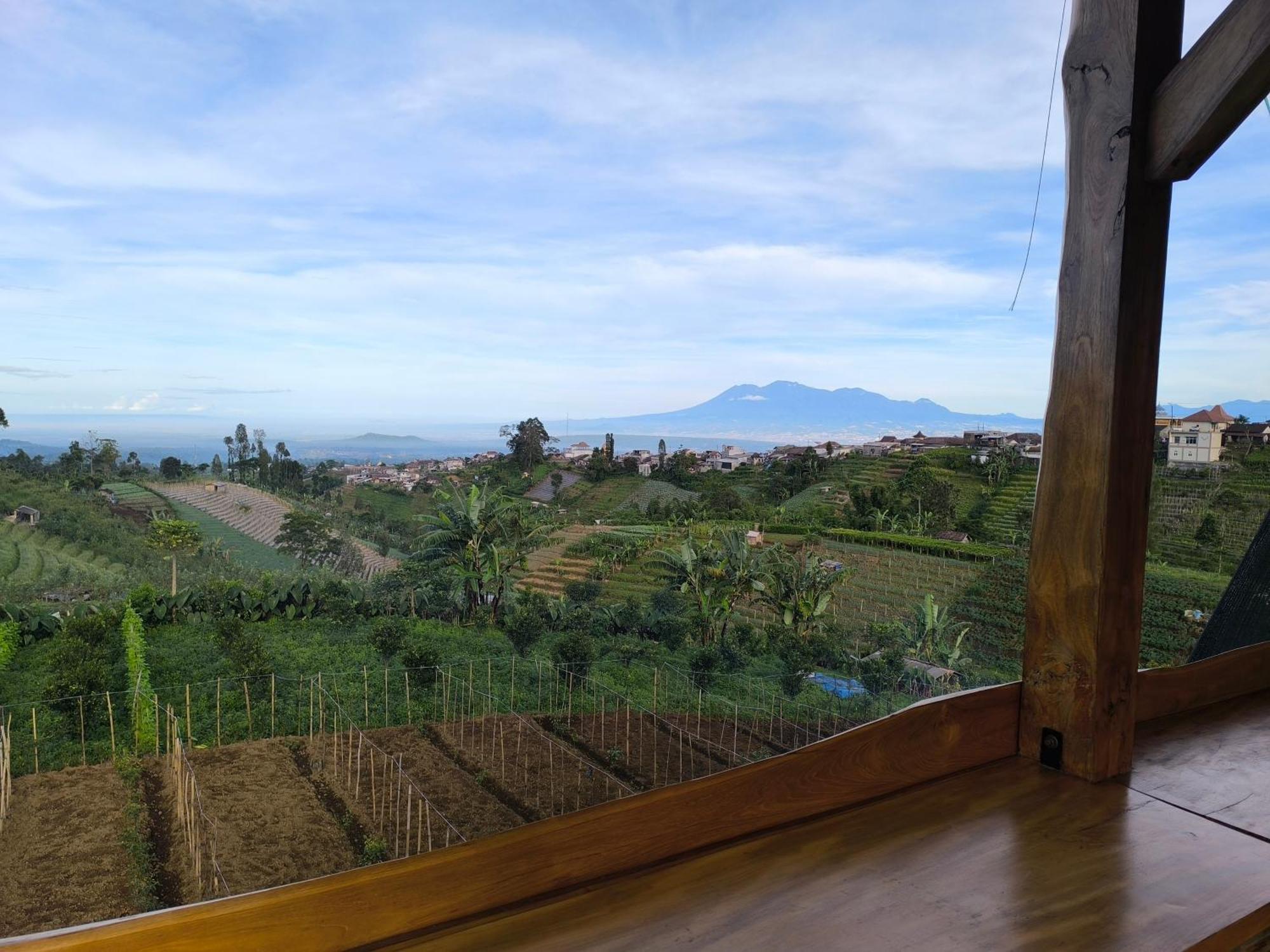 Maison Manendra - Bromo Malang Ngoại thất bức ảnh